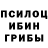 Псилоцибиновые грибы MAGIC MUSHROOMS Tyler Mac