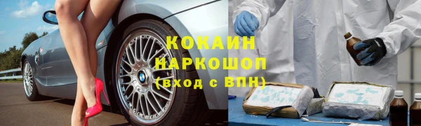 винт Ладушкин