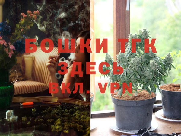 винт Ладушкин