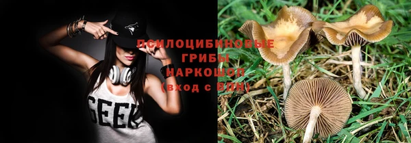 соль курить ск Лабытнанги